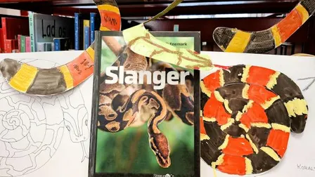 Slangeuroer - kreaværksted
