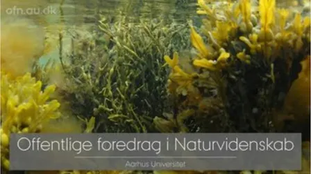 Foredrag: Tang