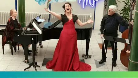 Satie salonkoncert