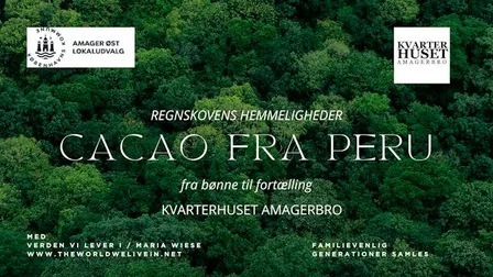 CACAO FRA PERU – Fra Bønne til Fortælling