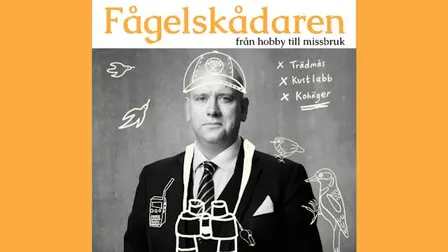 Fågelskådaren i Stockholm