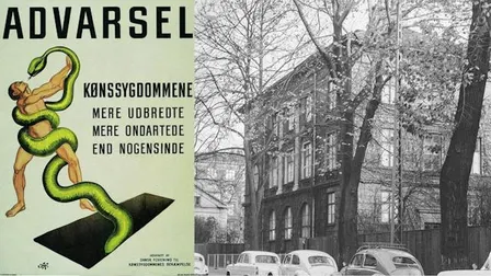 Kampen mod københavnernes kønssygdomme. Undersøgelser af unge kvinders hud og kønsdele 1946-1961