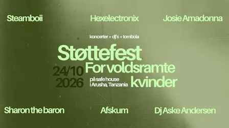 Støttefest for voldsramte kvinder