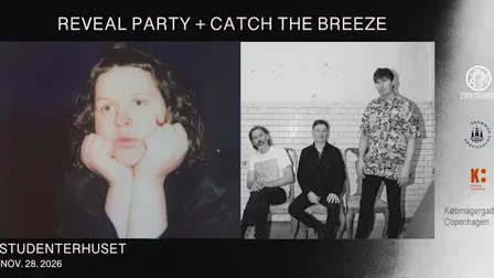 REVEAL PARTY + CATCH THE BREEZE