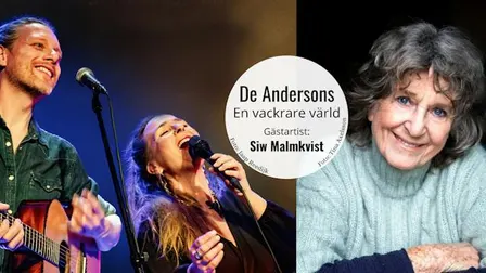 En vackrare värld