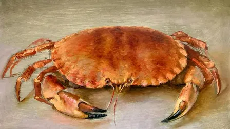 Malekurs stilleben med Helene Knoop