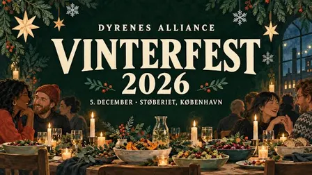 Vinterfest! ❄️