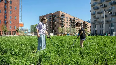 Community cleanup day i Ørestad