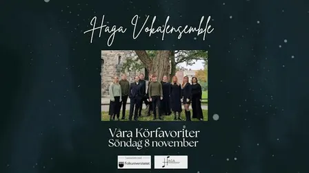 Våra Körfavoriter