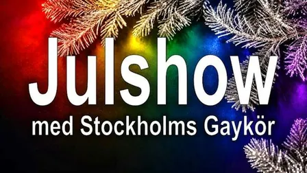 Julshow med Stockholms Gaykör