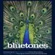 The Bluetones: 'Expecting To Fly' 30th Anniversary Tour