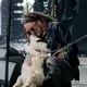 The Wildhearts