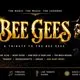 Bee Gees Tribute Night - Hinckley