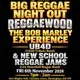 Big Reggae Night Out