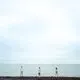Lotusbliss