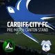 Wigwam LIVE at Cardiff City FC pre-match entertainment