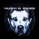 Hush &amp; Bass - Jungle/Dub/DnB/Reggae/Techno/Trance
