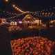 Pumpkin Patch Nights