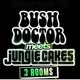 Bush Doctor Meets Jungle Cakes