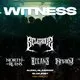 Witness