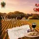 Wine &amp; Cheese Tasting....... Autumn Among The Vines