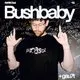 Rare presents Bushbaby