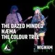 Wigwam Live at The Purple Turtle, Reading