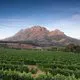 World of Wine: South Africa and the USA.