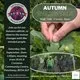 Autumn Walk &amp; Talk