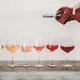 Pretty in Pink Rose Wine Tasting.