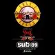 Guns 2 Roses &amp; Ghost The Tribute