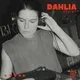 DAHLIA Stereo Sessions: Nossa