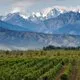 World of Wine: Discover South America