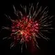 Fenton Fireworks Display