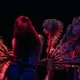 Glasgow Festival of Burlesque: One Night Only