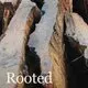 The Rooted
