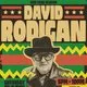 Our Yard: DAVID RODIGAN