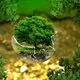Global Forum on Pollution Control &amp; Sustainable Environment