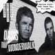 The Oasis Wonderwalk Tour
