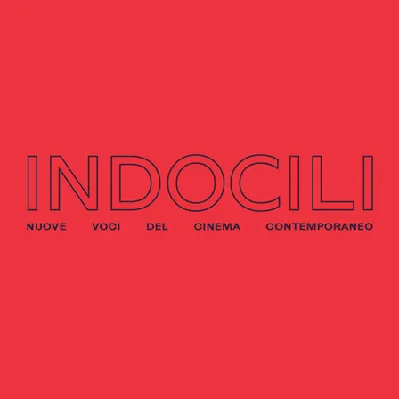 Indocili 1 - Indocili Queer