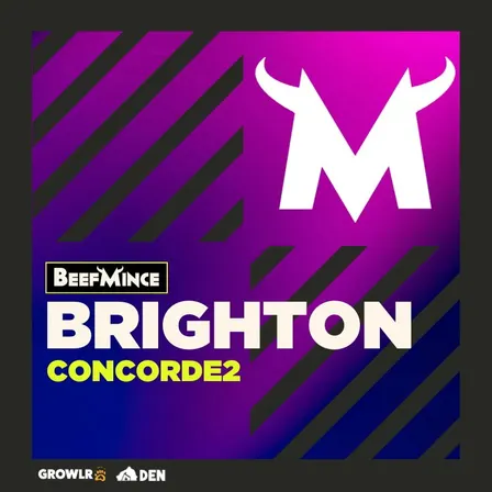 BEEFMINCE x Brighton