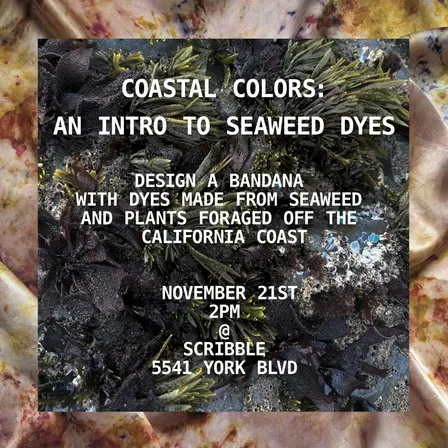 Coastal Colors: An Intro to Seaweed Dyes