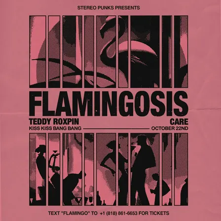 Flamingosis