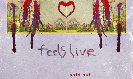 Animal Collective Performs Feels Live