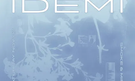 IDEMI