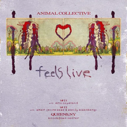 Animal Collective Performs Feels Live