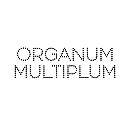 Organum Multiplum – James McVinnie & Tristan Perich live at Basilica di Santa Maria in Aracoeli