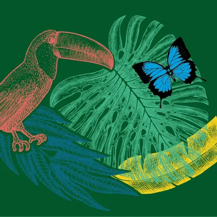 Pura Vida Week - Symfaunia
