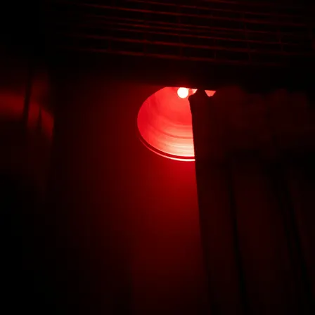 Fiama Molina at Anfang Fam Day