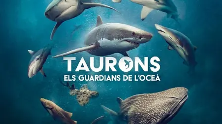 'Taurons. Els guardians de l’oceà'